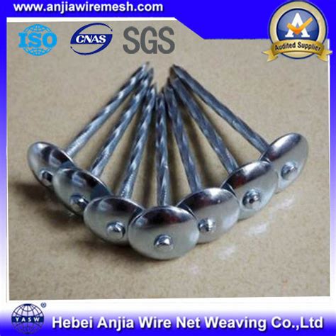 Roofing Nail With Umbrella Head In Electro Galvanized Inch China