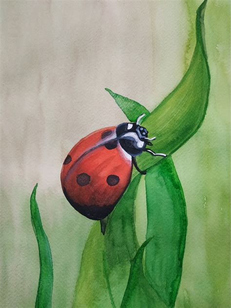 Ladybug Painting Watercolor Original Art 14by11 By Tatianaartshop