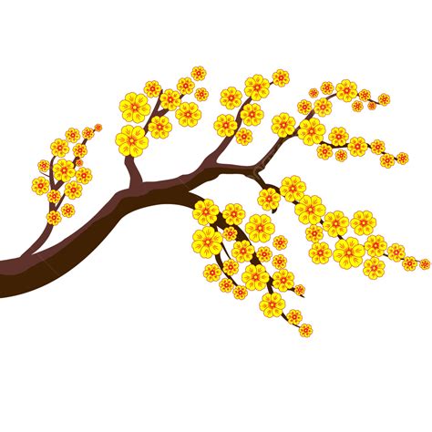 Cherry Blossom Branch Clipart Transparent Background Yellow Apricot