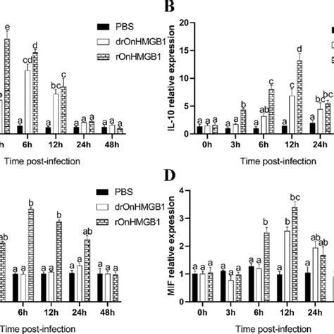 The Mrna Expression Of Il 6 A Il 10 B Il 8 C And Mif D From Download Scientific