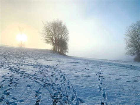 Das Wetter In Bayern Bayerisches Landwirtschaftliches Wochenblatt