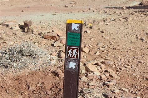 Dinosaur Stomping Ground