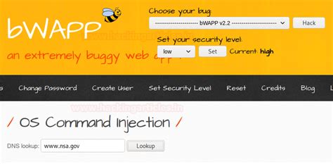 Comprehensive Guide On Os Command Injection Hacking Articles