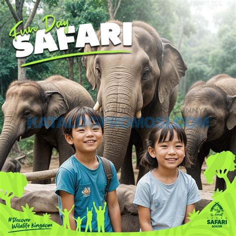 Promo TAMAN SAFARI FUN DEALS TIKET MASUK Mulai Rp 200 000