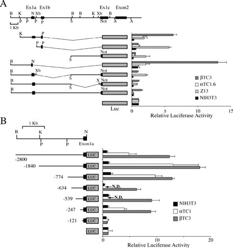 Identification of an islet cellspecific enhancer element in the nkx2.2 ...