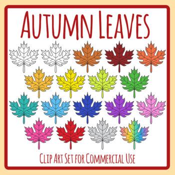 Autumn Fall Leaves In Color Maple Tree Leaf Plant Shapes Clip Art