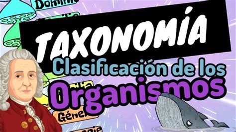 Que Es La Taxonomia Y Que Estudia Eldiegoes