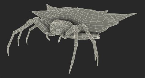 3D Spiny Orb Weaver Spider TurboSquid 1170063