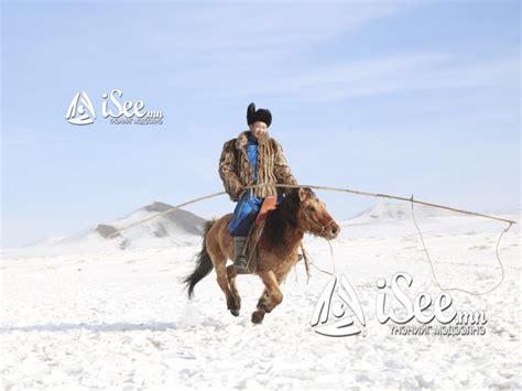 Өнөөдөр туулай өдөр | iSee.mn
