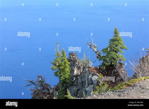 Panoramic View Of Crater Lake National Park Oregon Usa Stock Photo