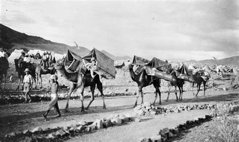 Wwi Camels Carrying Wounded Men To Safety On The North West Frontier