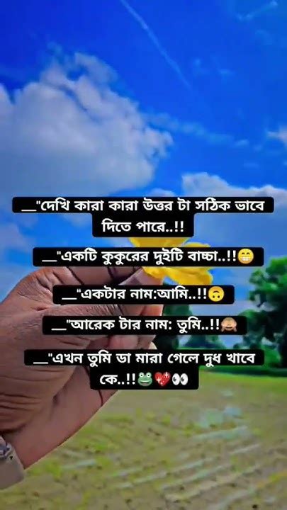 দেখি কারা কারা সঠিক উত্তর দিতে পারে 🐸👀cuteeakash Song Youtube