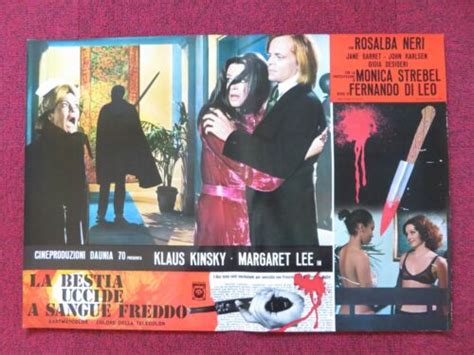 Asylum Erotica F Italian Fotobusta Poster Klaus Kinsky Margaret Lee