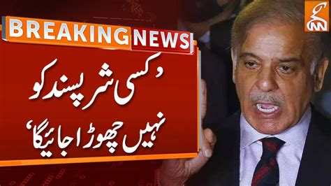 Breaking News Shehbaz Sharif Warning GNN YouTube