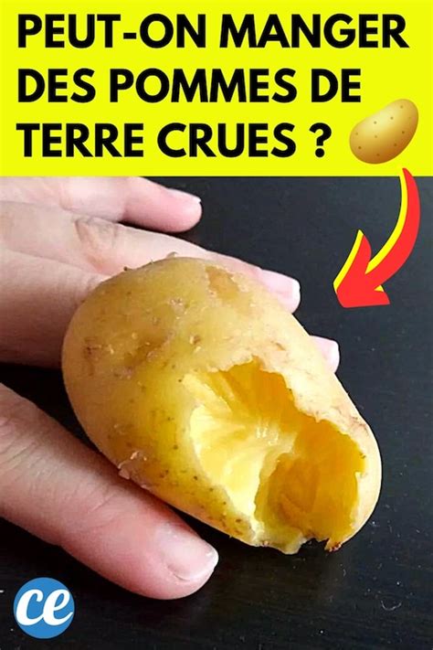 Peut On Manger Des Pommes De Terre Crues Sans Risque