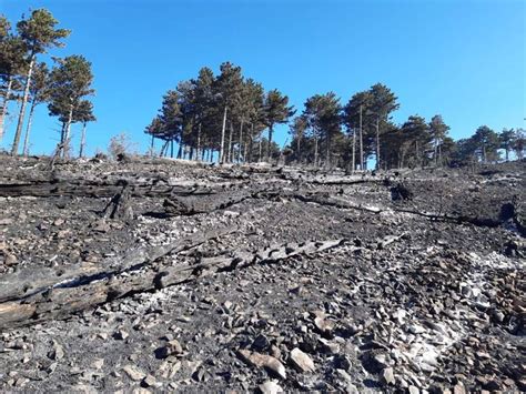 Domato Dopo Giorni Rogo Parco Maiella In Fumo Ettari Ultime