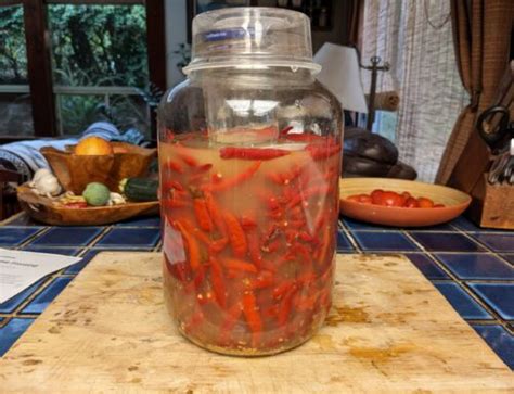 Batch Hot Sauce Progress Entry Sage S Acre Organic Home Gardens