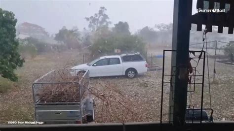 Brisbane Weather Woman Dies After Tree Falls On Her As 87km H Winds