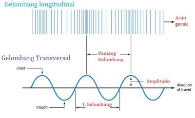 Detail Contoh Gelombang Longitudinal Koleksi Nomer