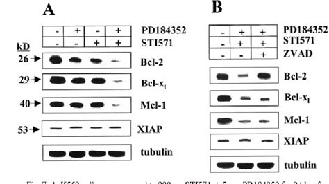 Figure From Apoptosis In Bcr Abl Expressing Human Leukemia Cells