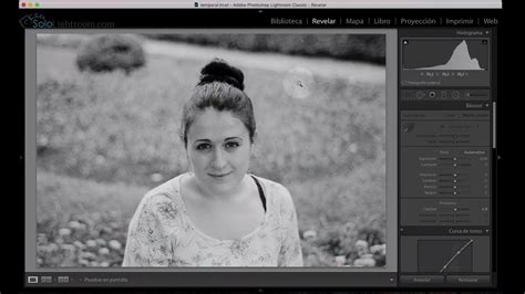 Curso De Lightroom Classic Capitulo Herramienta De Eliminaci N De