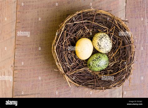 Birds Nest With Three Colorful Eggs Stock Photo Alamy