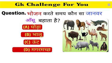 Most Important General Knowledge Questions And Answers In Hindi Gk Mcq