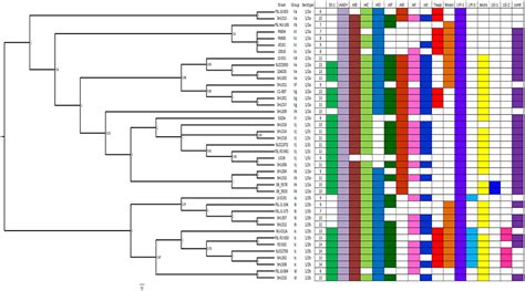 Frontiers Evolution And Diversity Of Listeria Monocytogenes From