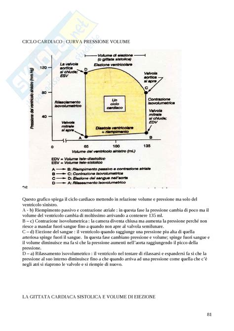 Riassunto Esame Fisiologia Degli Organi E Degli Apparati Prof Protasi