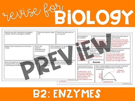 AQA GCSE Biology Revision Enzymes Teaching Resources