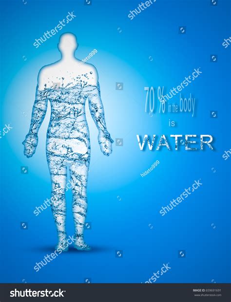 70 Percent Human Body Water Stock Illustration 659691691 | Shutterstock