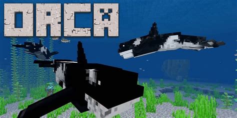 Orca For Minecraft Pocket Edition 116