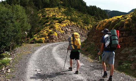 Hiking in Queenstown: List of Essentials and 10 Must-try Trails for ...