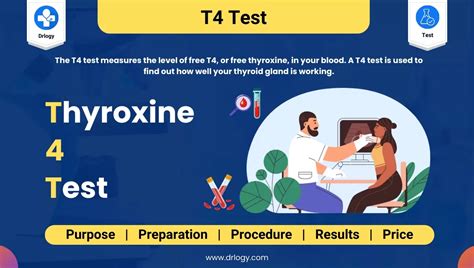 Why Is The T4 Test Done