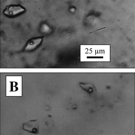 Photomicrographs Showing Primary Fluid Inclusions A Type I