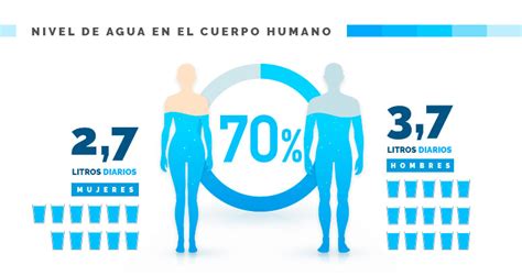 El Agua Y Sus Beneficios Blog Bienestarsaval Cl