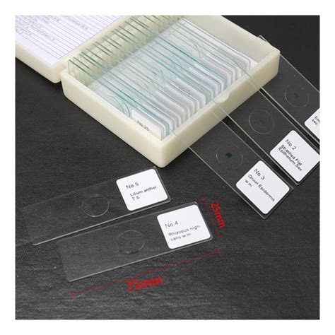 Kit De Muestras Biol Gicas Preparadas Para Microscopio U Cuotas