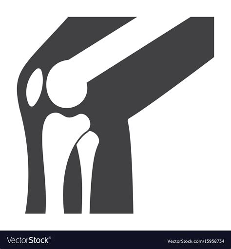 Knee Joint Bones Royalty Free Vector Image Vectorstock