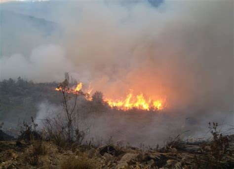 Incendio forestal arrasa con 250 hectáreas de pastos naturales en