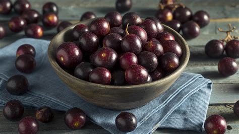 Locally Grown Muscadine Grapes | Find Georgia Grown Grapes Near You