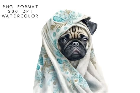 Watercolor Pug Dog Clipart Graphic By Watercolorbykr · Creative Fabrica