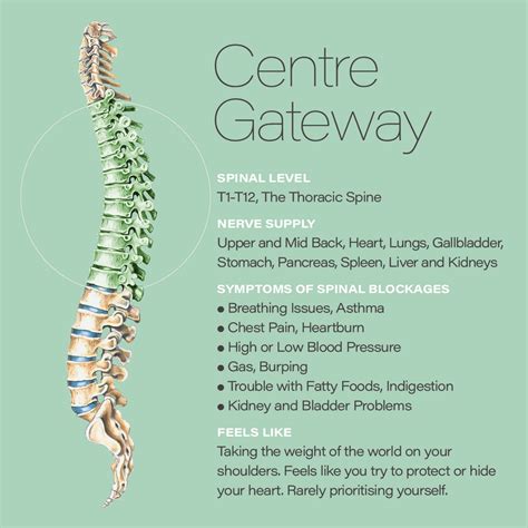Spinal Flow Sessions | Flowering Journey Wellness