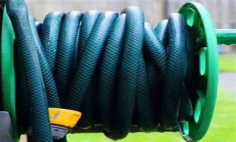 Do Flex Garden Hoses Break A Comprehensive Guide To Their Durability