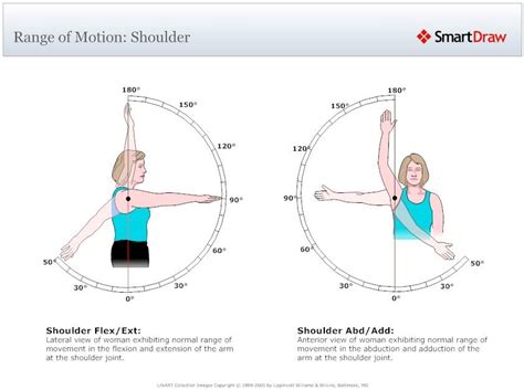 Range Of Motion For Shoulder