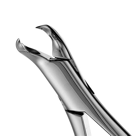 3fs Woodward Lower Molars Extraction Forceps Hiteck Medical Instruments