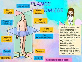 Destilar Neuropatía Víspera de Todos los Santos planos ejes y