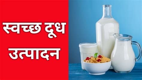 स्वच्छ दूध उत्पादन । Clean Milk Production Youtube