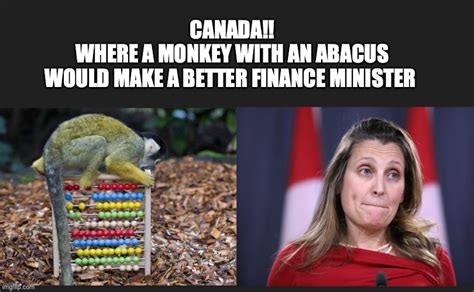 Monkey With An Abacus Imgflip