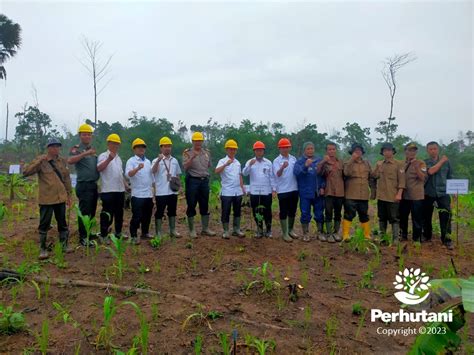 Perhutani Peringati Hmpi Perhutani Bersama Lmdh Harapan Maju Tanam