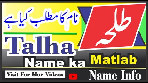 Talha Name Meaning Name Info Talha Naam Ka Kya Matlab Hai Nameinfo